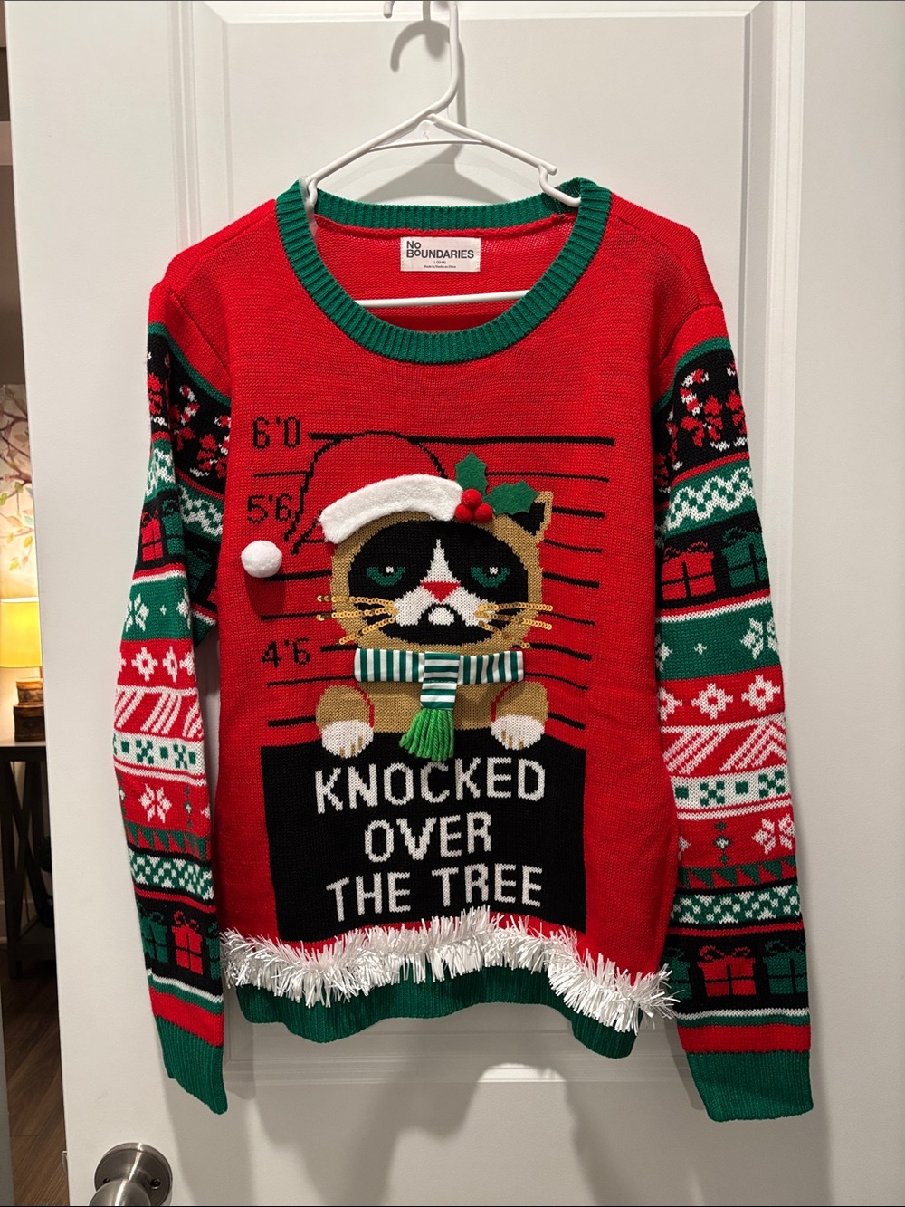 No Boundaries Red Christmas Cat Holiday Sweater with Green Trim